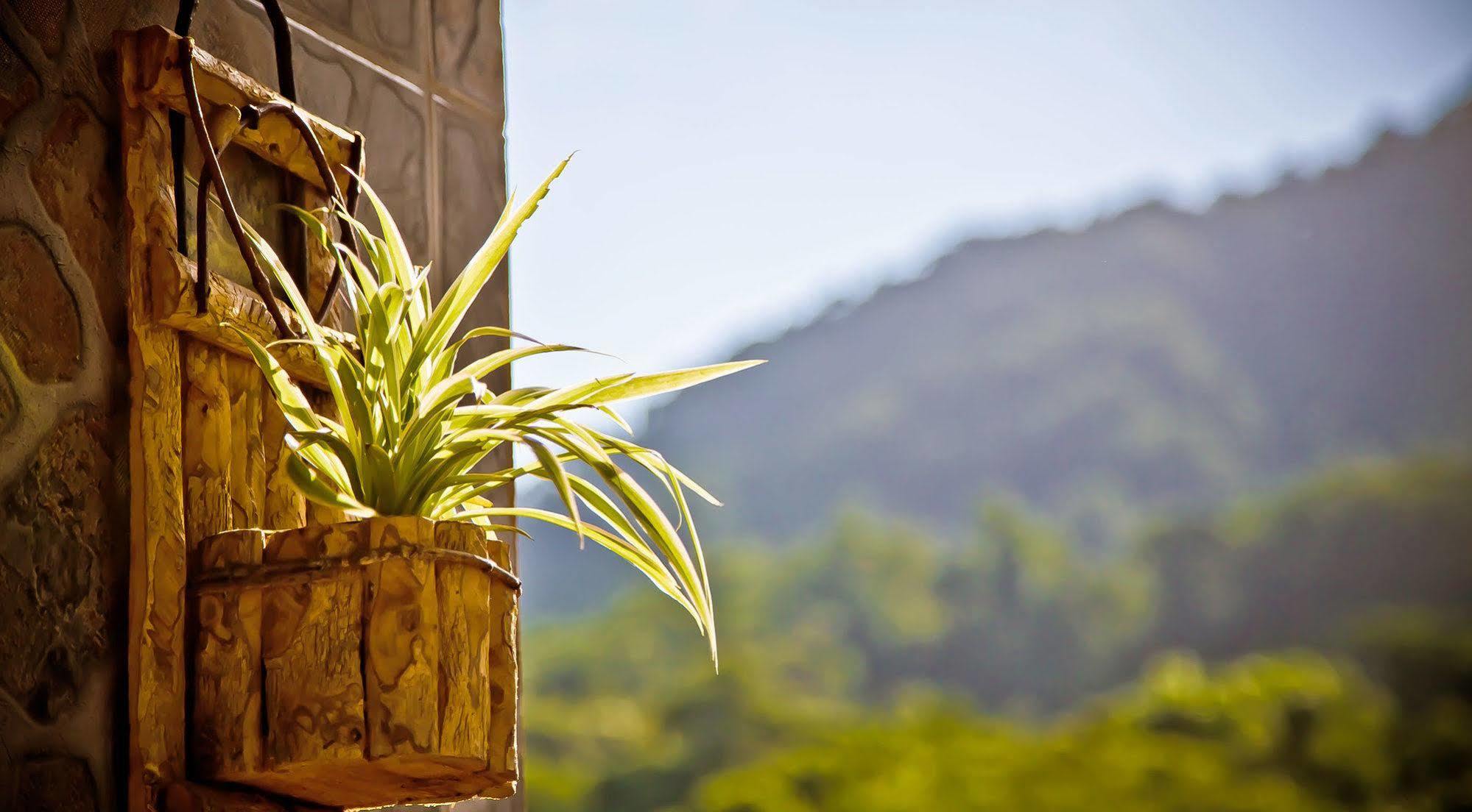 Pousada Pataxo Ubatuba Exterior photo